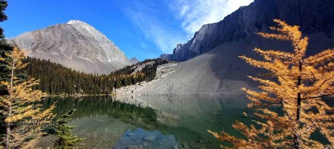 Larch Outing: Chester Lake — Hike with 300 m elevation gain to Chester Lake through golden larch meadows