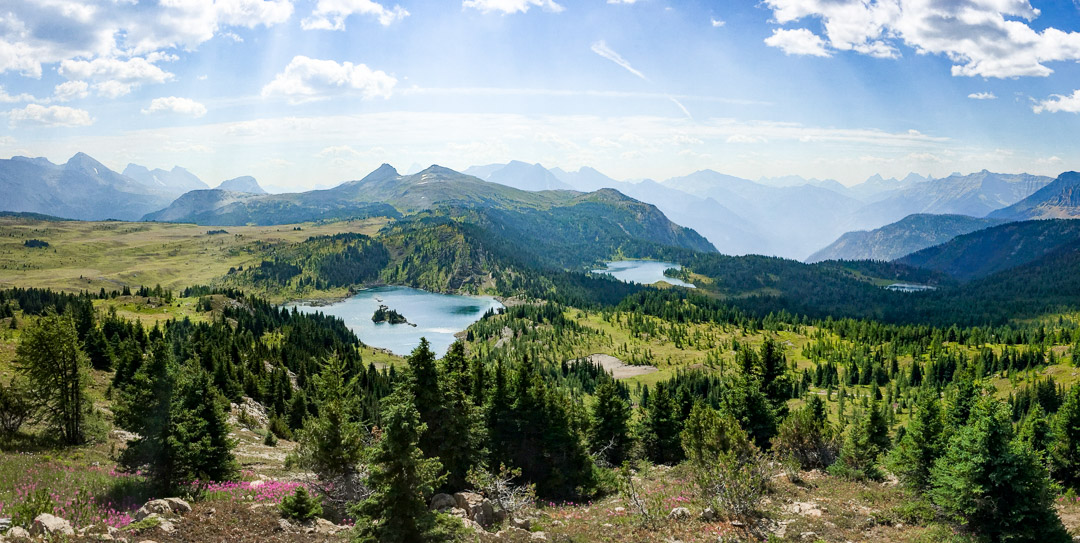 Sunshine Meadows — Gentle wildflower meadows stroll via Sunshine gondola